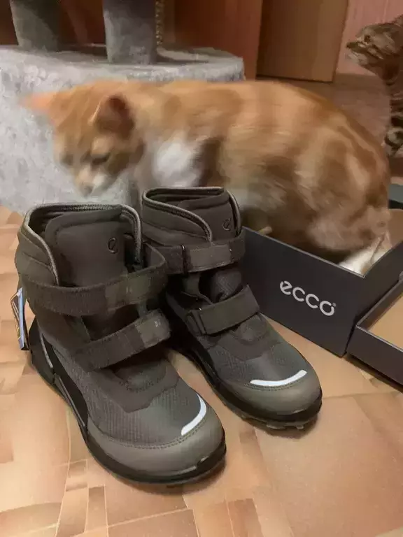ECCO BIOM K2