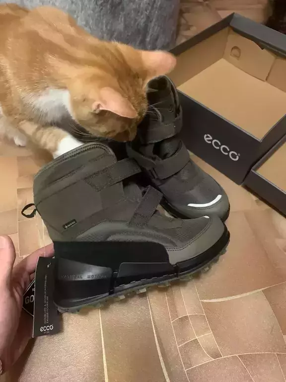 ECCO BIOM K2