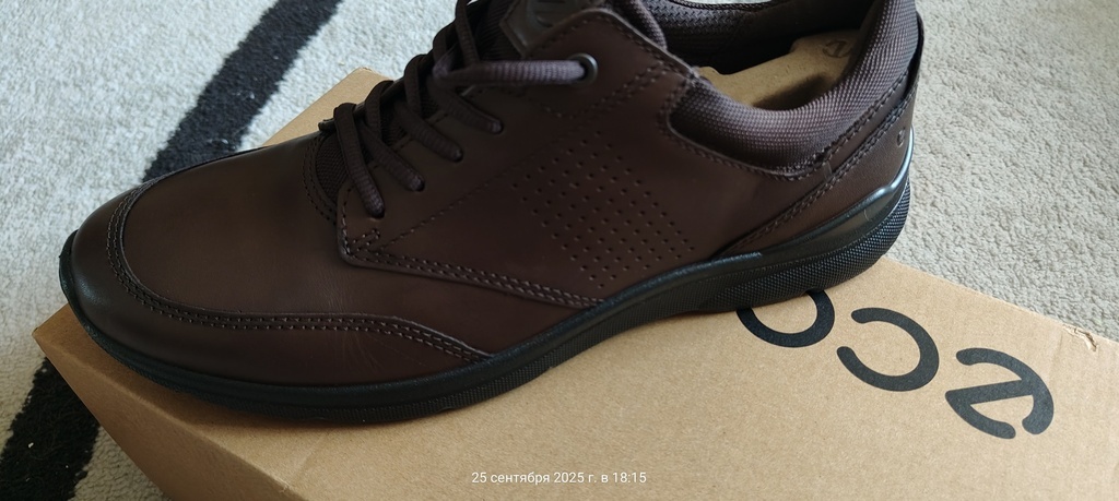 ECCO IRVING