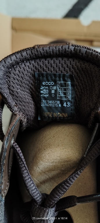 ECCO IRVING