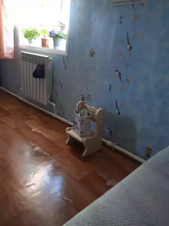 https://media.apltcdn.com/media_files/68d5/5e0f/d89d/ff00/0130/c1cc/large.jpeg?1758813709