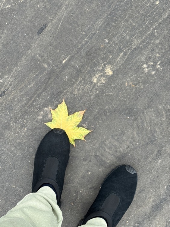 Ботинки утепленные мужские Etonic Snow, отзывы покупателей, фото 1