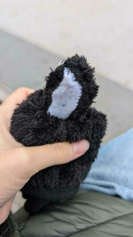 Фотография покупателя