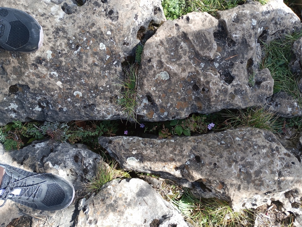 undefined, отзывы покупателей, фото 1