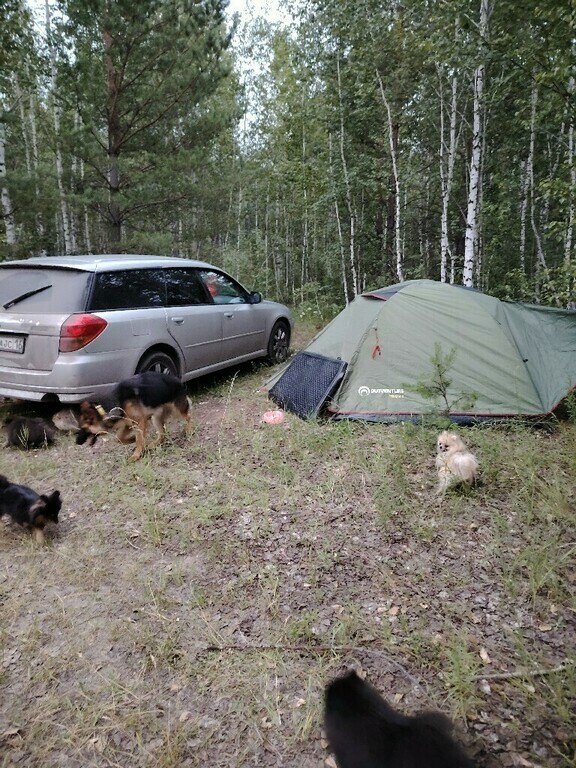 undefined, отзывы покупателей, фото 1