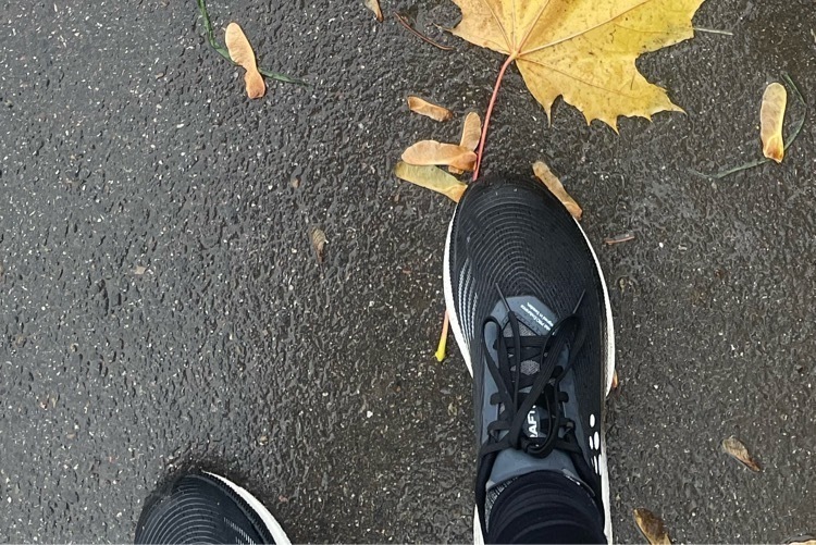 Кроссовки женские Craft Pro Endur Distance, отзывы покупателей, фото 3