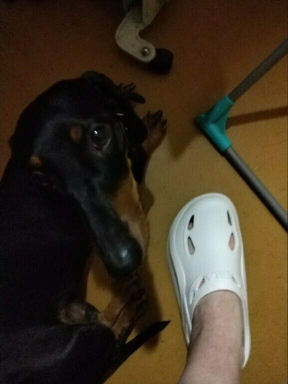 undefined, отзывы покупателей, фото 1