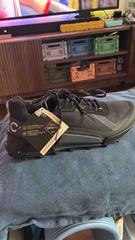 ECCO BIOM 2.1 X COUNTRY W