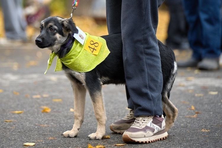 undefined, отзывы покупателей, фото 2