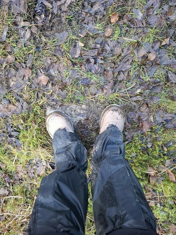 undefined, отзывы покупателей, фото 1