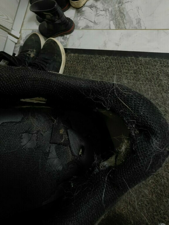 Кеды мужские Etonic Sneakers, отзывы покупателей, фото 2