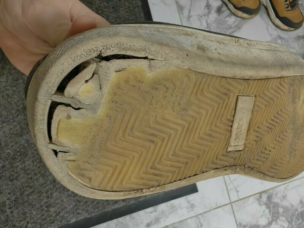 Кеды мужские Etonic Sneakers, отзывы покупателей, фото 3