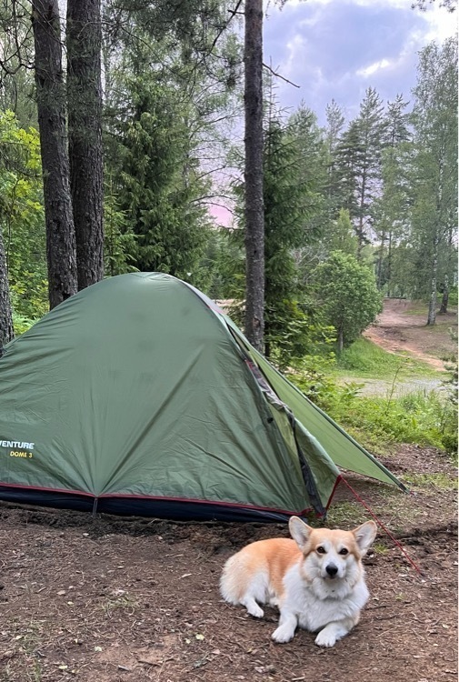 undefined, отзывы покупателей, фото 1