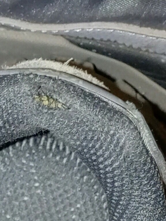 undefined, отзывы покупателей, фото 3