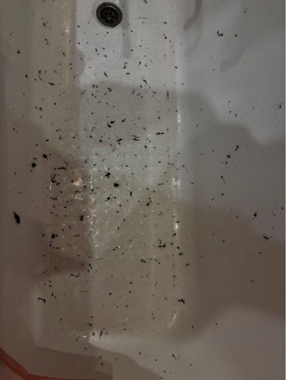 undefined, отзывы покупателей, фото 1