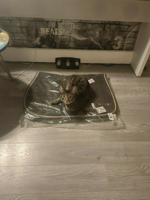 undefined, отзывы покупателей, фото 1