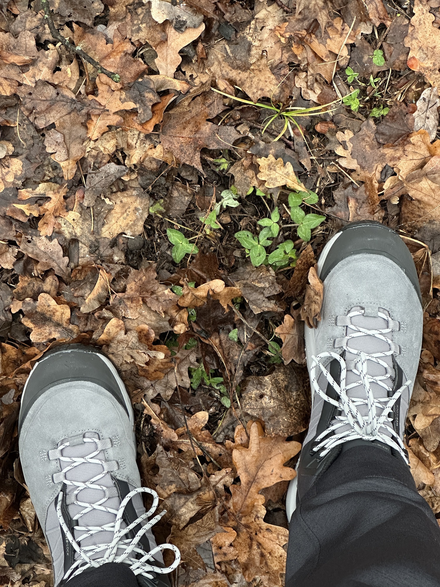 фото отзыва от пользователя