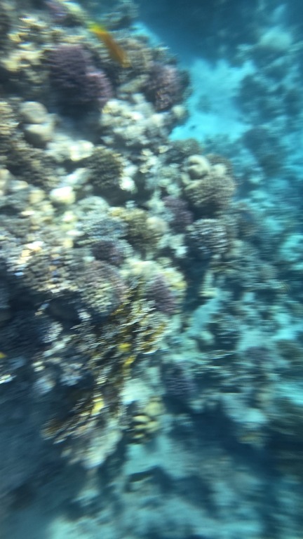 undefined, отзывы покупателей, фото 1