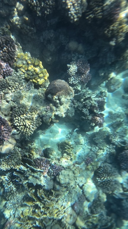 undefined, отзывы покупателей, фото 2