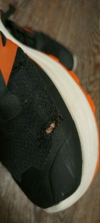 Кроссовки мужские Salomon Alphaglide, отзывы покупателей, фото 2