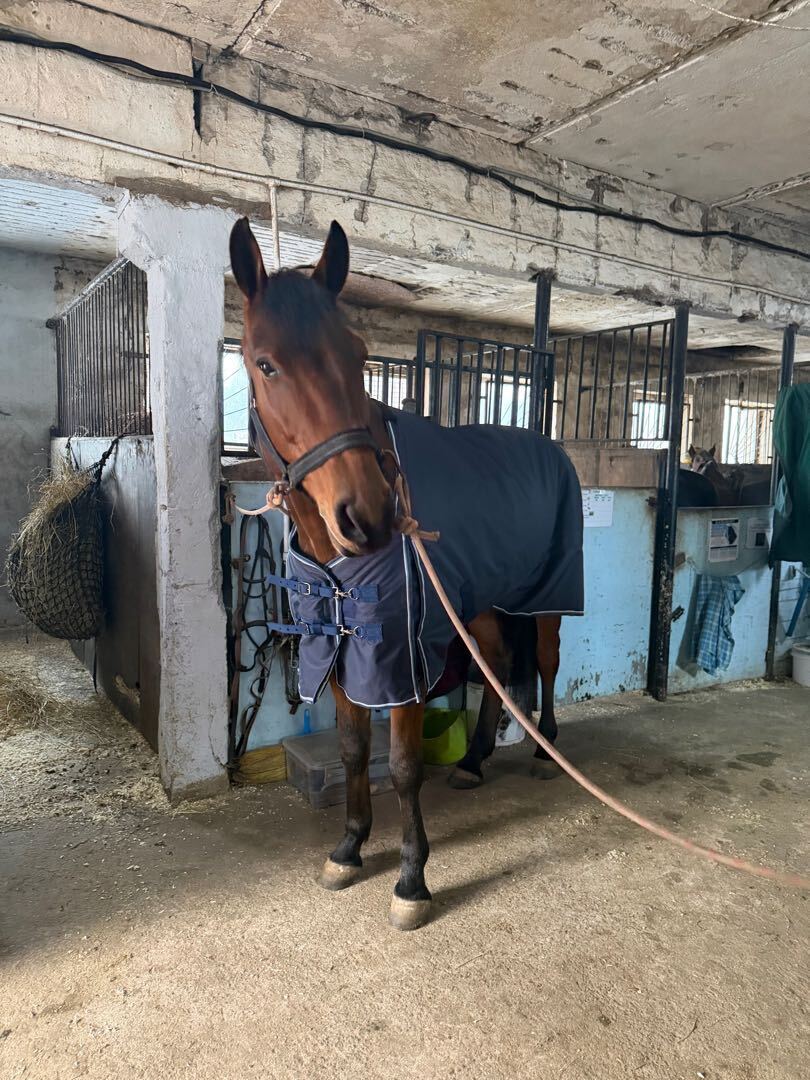 фото отзыва от пользователя