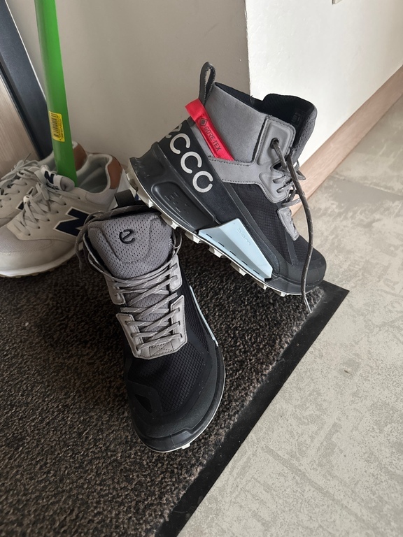 ECCO BIOM 2.1 X MOUNTAIN M