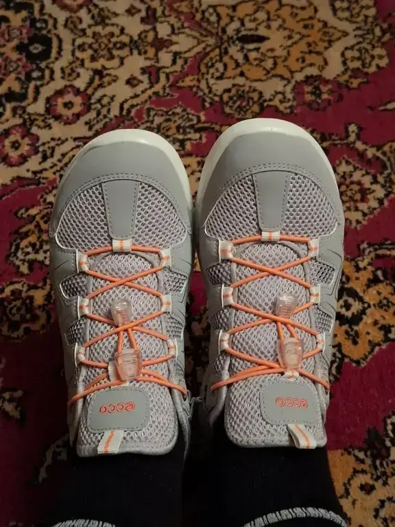 ECCO TERRACRUISE LT W