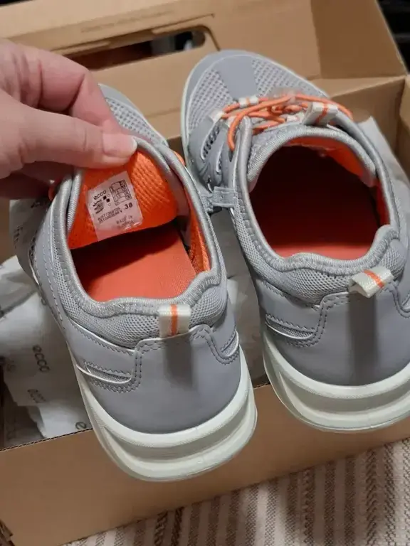 ECCO TERRACRUISE LT W