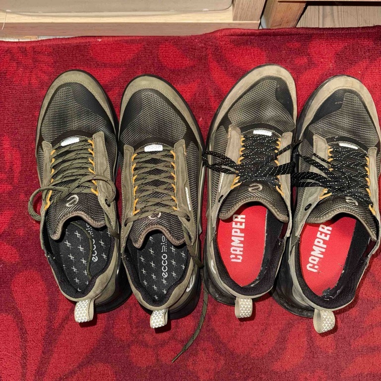 ECCO BIOM 2.1 X MOUNTAIN M