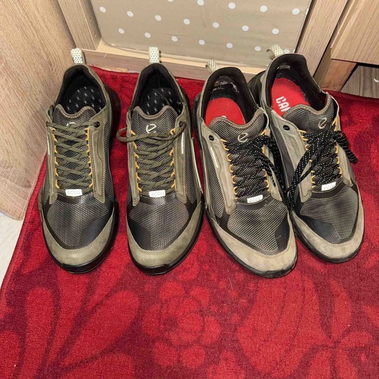 ECCO BIOM 2.1 X MOUNTAIN M