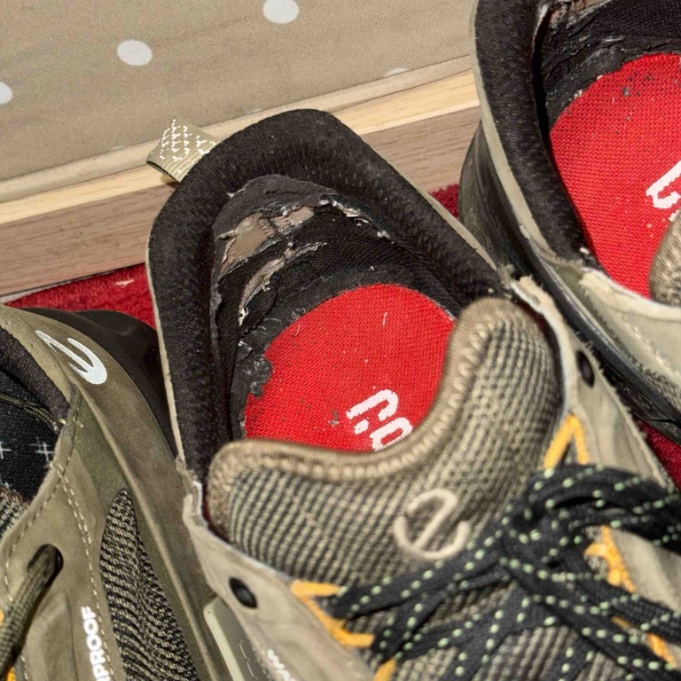 ECCO BIOM 2.1 X MOUNTAIN M