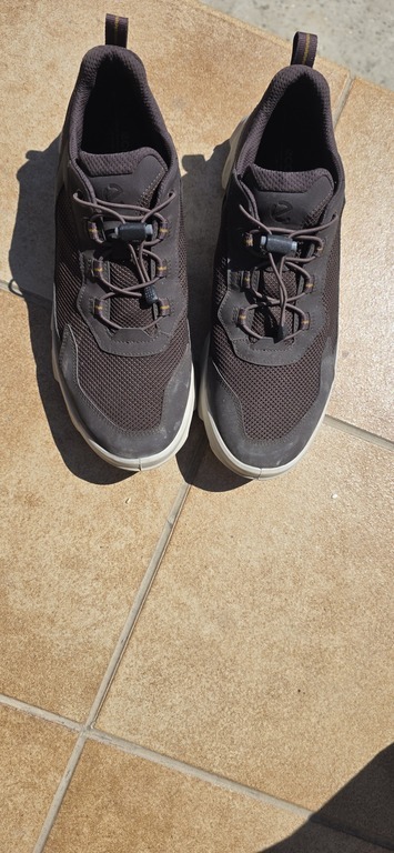 ECCO MX M
