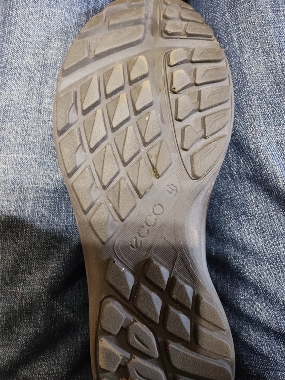 ECCO TERRACRUISE LT M