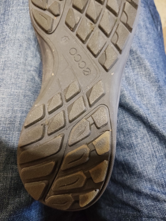 ECCO TERRACRUISE LT M