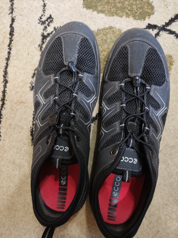 ECCO TERRACRUISE LT M