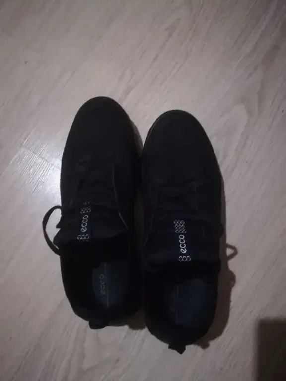 ECCO MX M