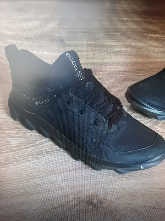ECCO MX W