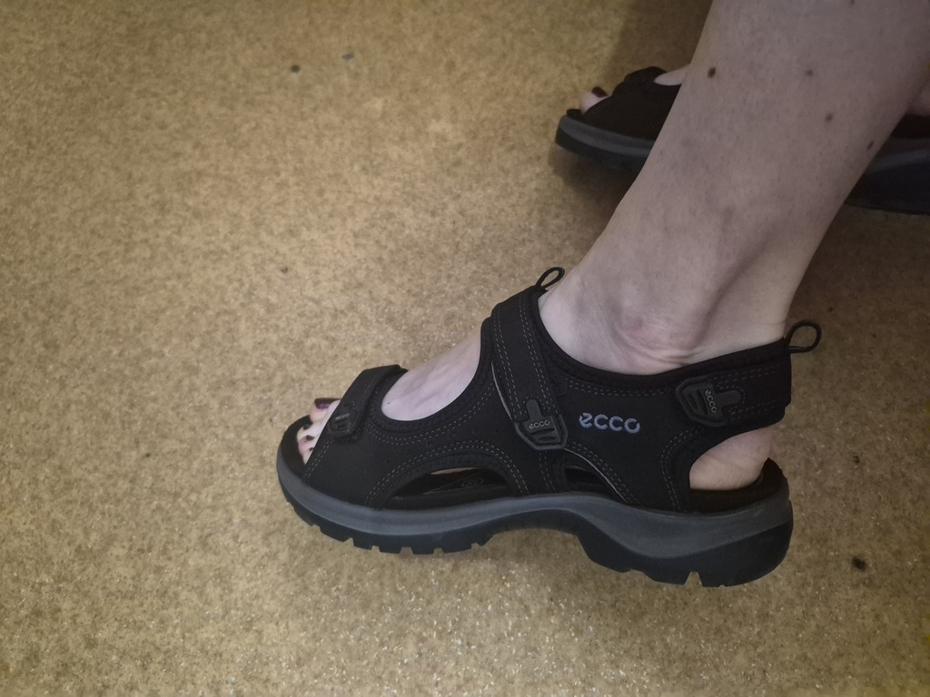 ECCO OFFROAD