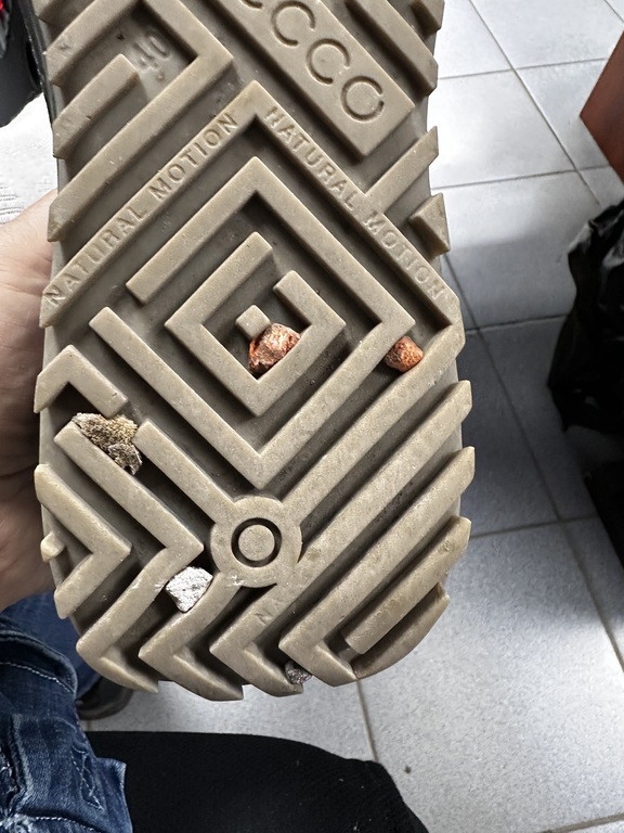 ECCO BIOM 2.0 M