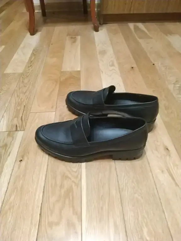 ECCO MODTRAY W