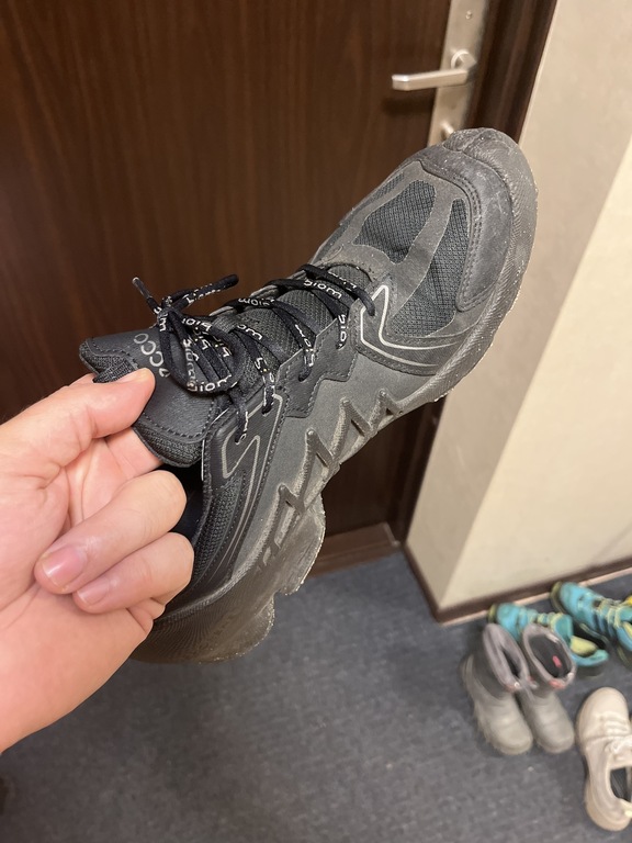 ECCO BIOM AEX M