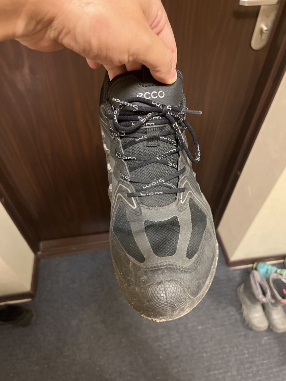 ECCO BIOM AEX M