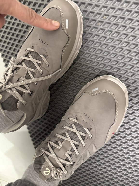 ECCO RECEPTOR XP W
