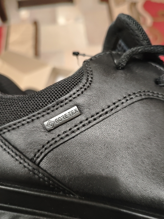 ECCO EXOSTRIDE M